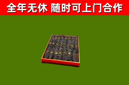 西盟回收海参